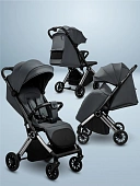 Серый [серый/серебряный]