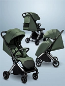 Зеленый [зеленый/серебряный]