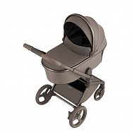 Детская коляска Anex Flo 2 в 1