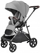 Темно серый [Platinum Grey]