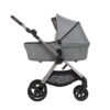 Детская коляска Anex IQ Premium 2 в 1
