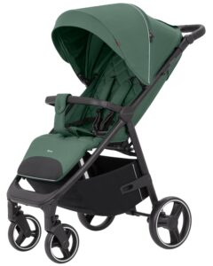 Прогулочная коляска Carrello Bravo